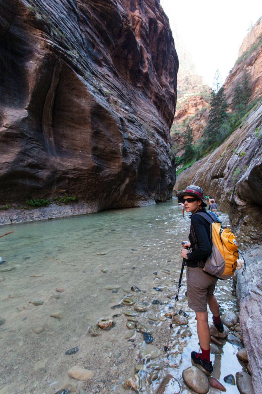 USA_Zion_081